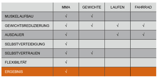 Bildschirmfoto 2013-02-13-um-16.26.51